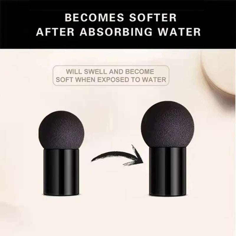 Air Cushion CC Cream Foundation - Hydrating Full-Coverage Concealer
